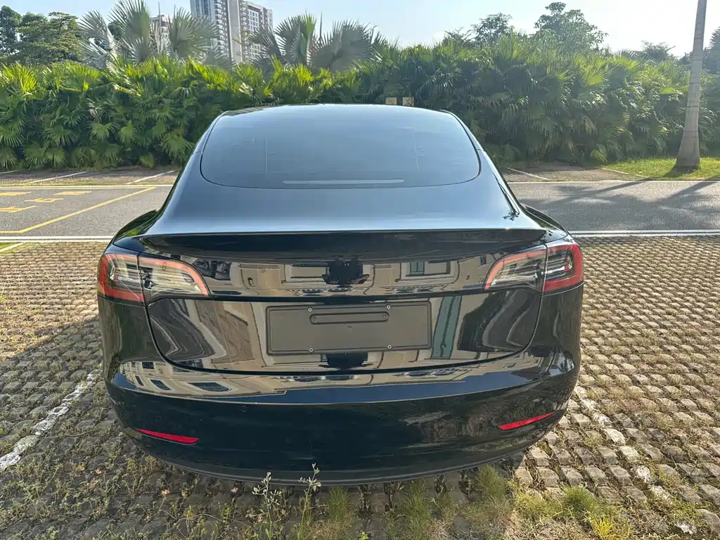 Tesla Model 3 — миниатюра 8