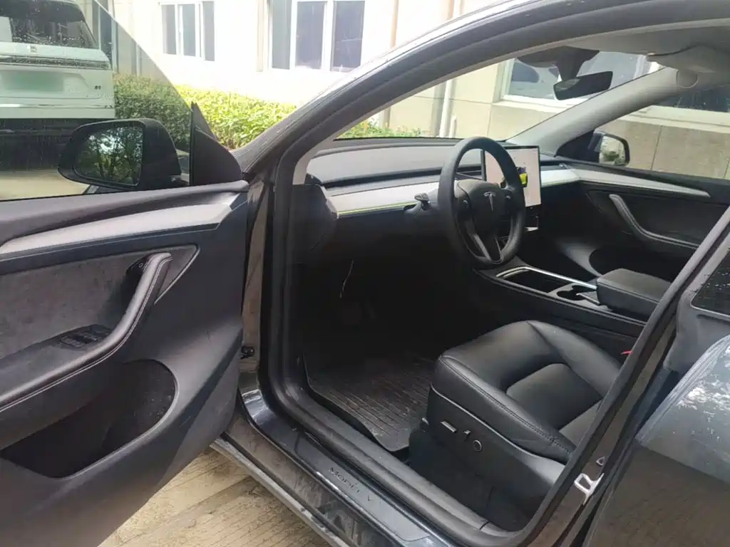 Tesla Model Y — миниатюра 16