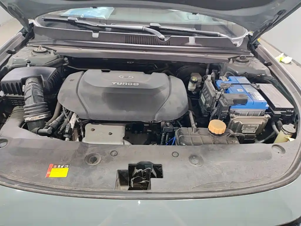 Baojun Valli — миниатюра 20