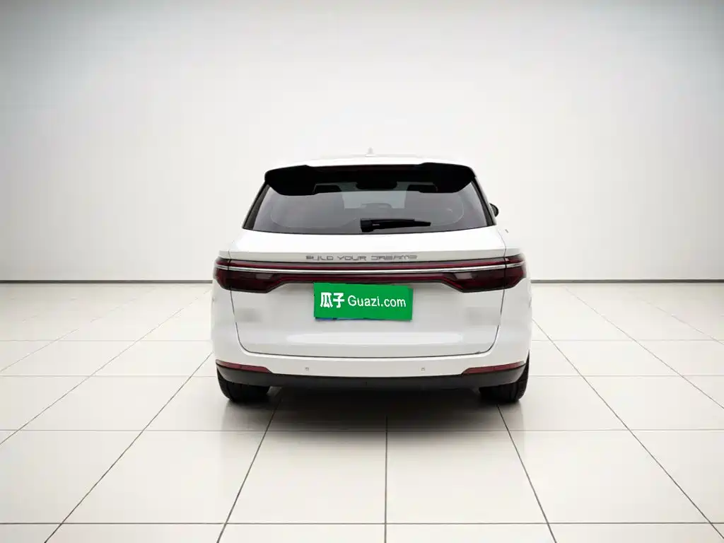 BYD Pro — миниатюра 3
