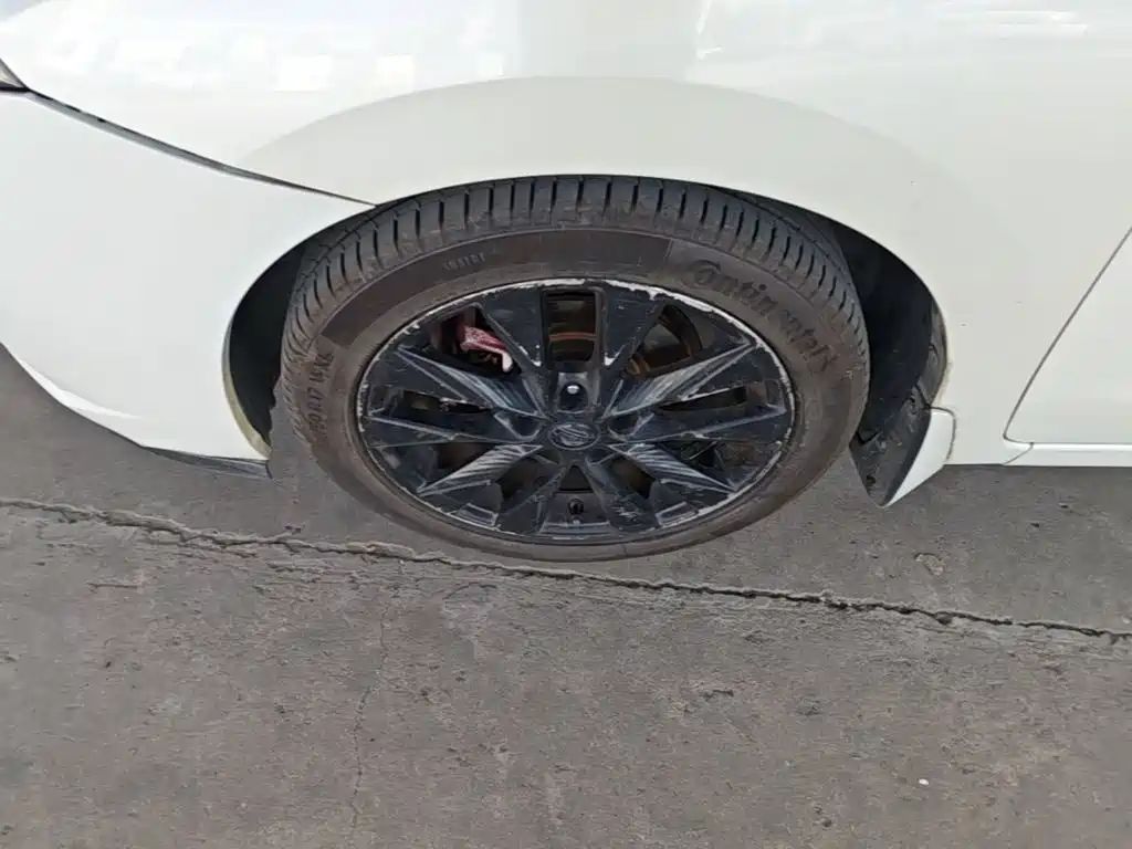 Nissan Bluebird — миниатюра 23