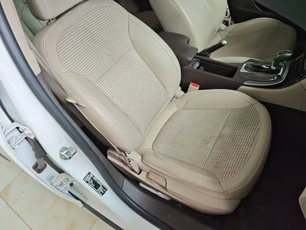 Buick Regal — миниатюра 25