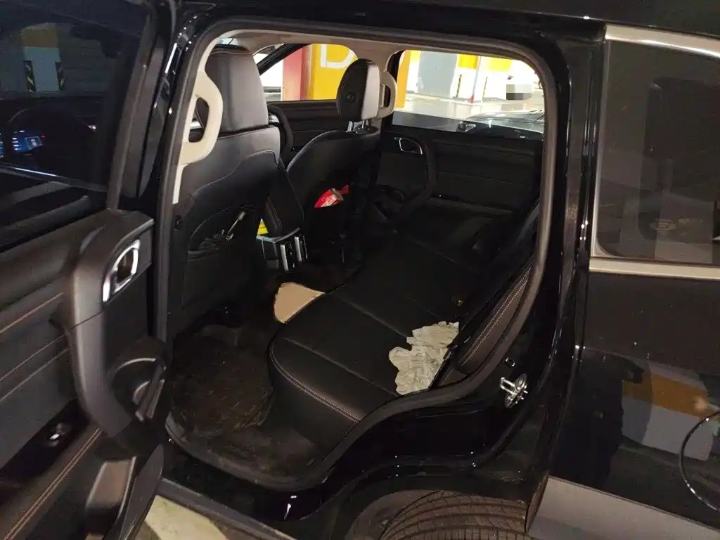 Haval Big Dog — миниатюра 15