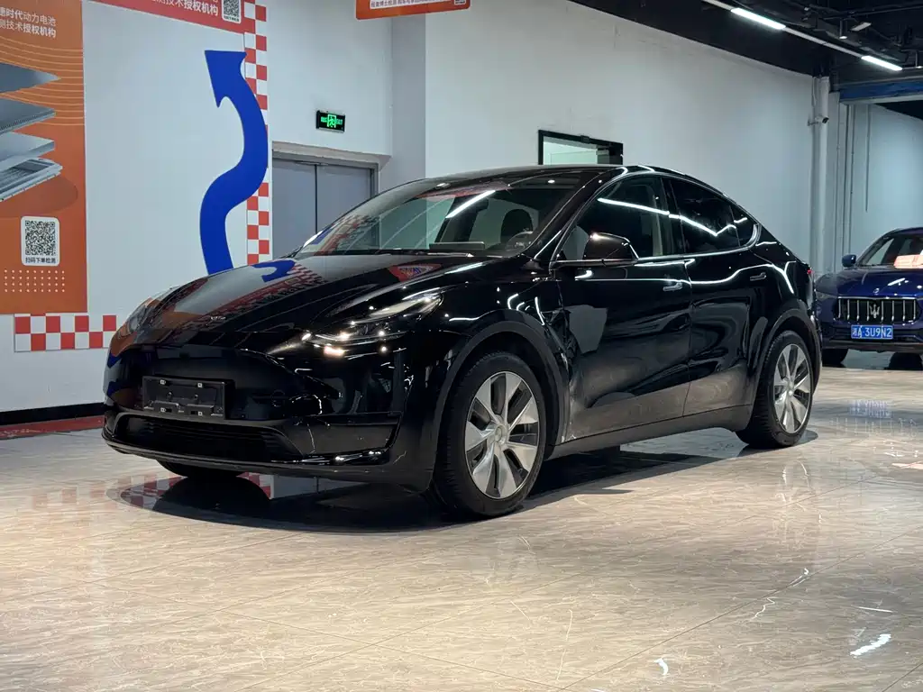 Tesla Model Y — миниатюра 2