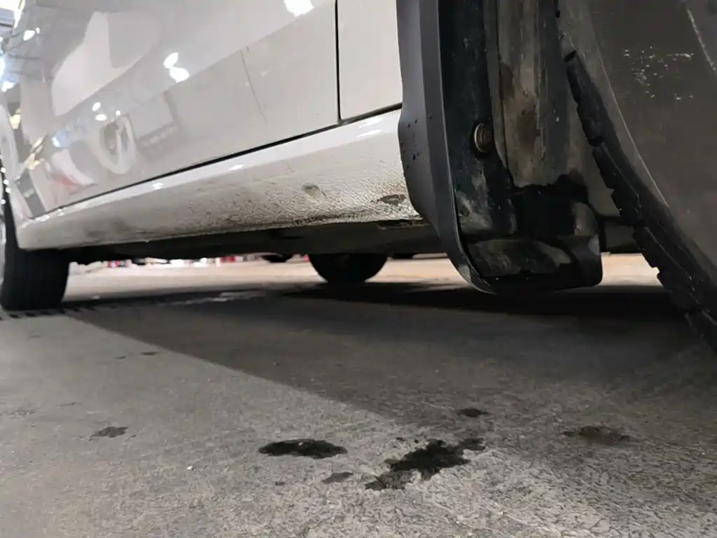 Volkswagen Lamando — миниатюра 21
