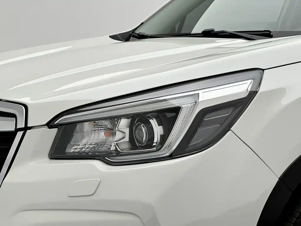 Subaru Forester — миниатюра 26