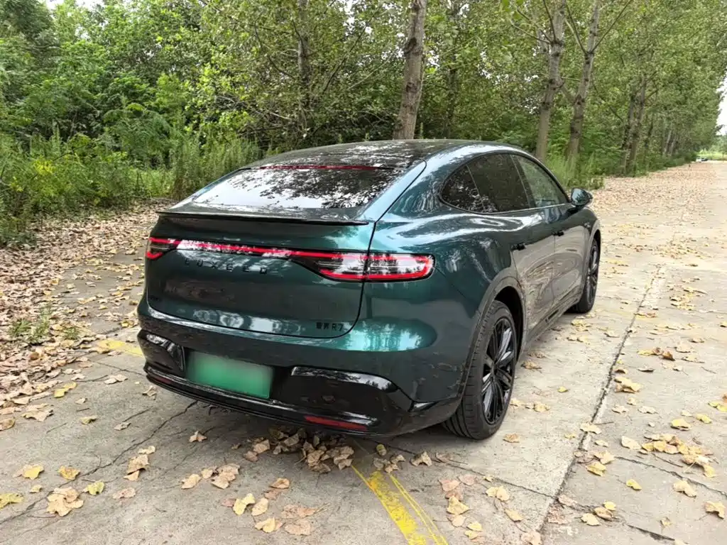 Zhijie Zhijie R7 — миниатюра 7