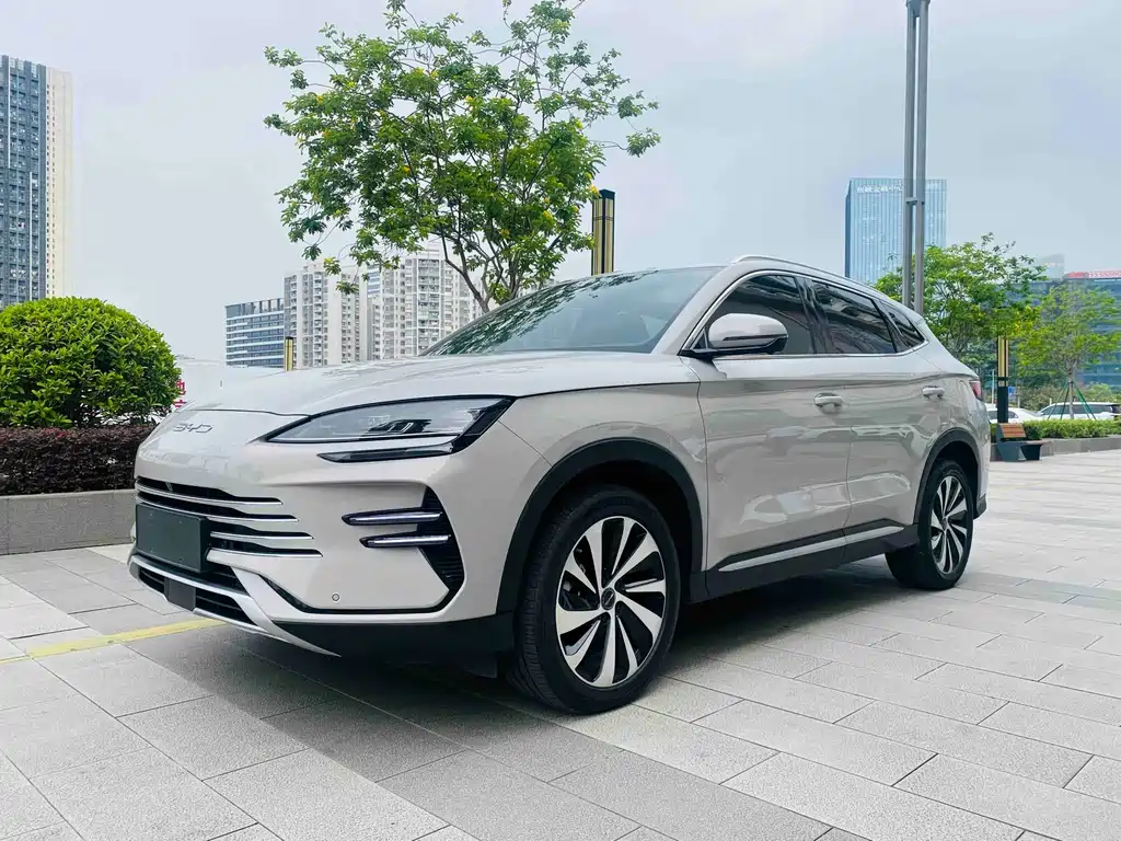 Byd PLUS New Energy 2024