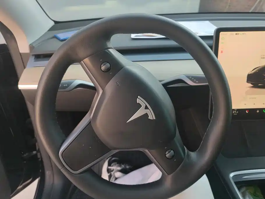 Tesla Model Y — миниатюра 15