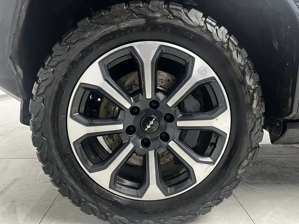 FANG CHENG BAO LEOPARD 5