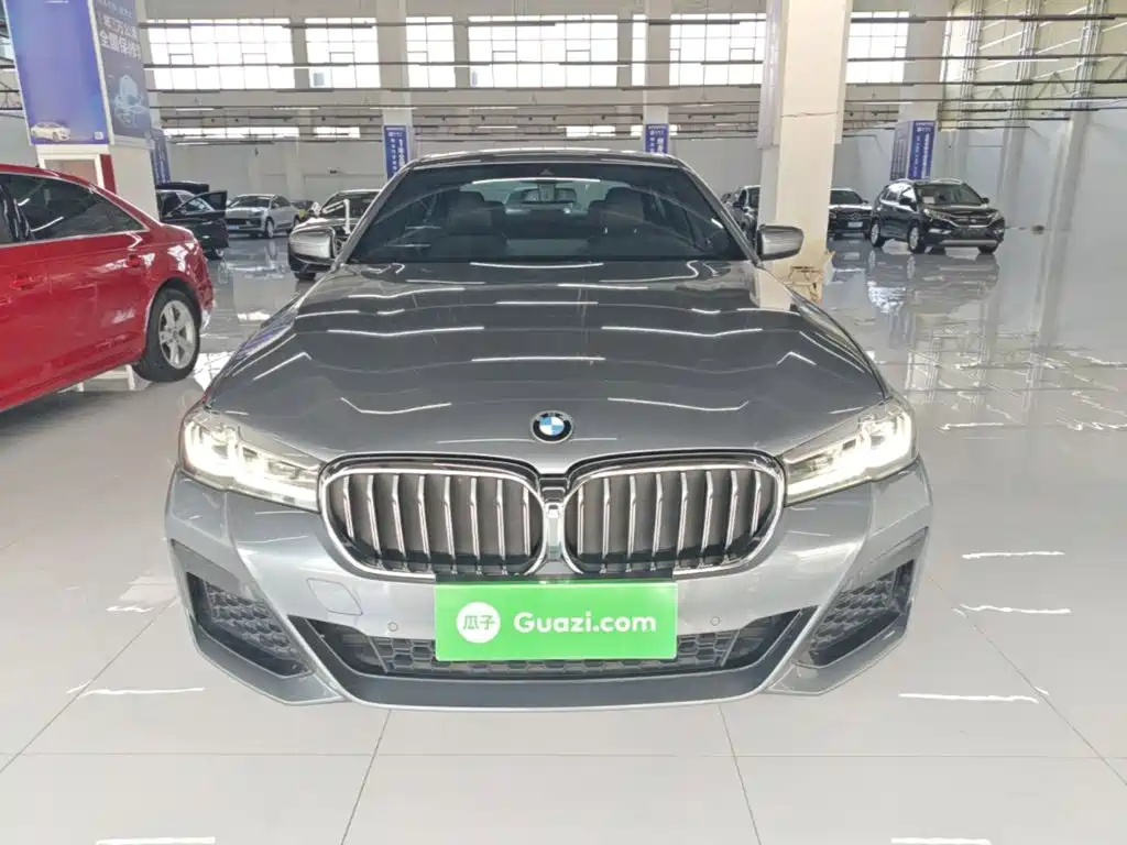 BMW 5 Series (Import) — миниатюра 3