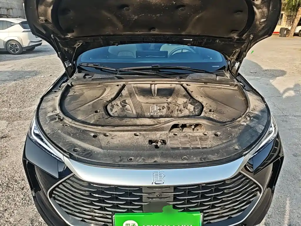 BYD Tang New Energy — миниатюра 20