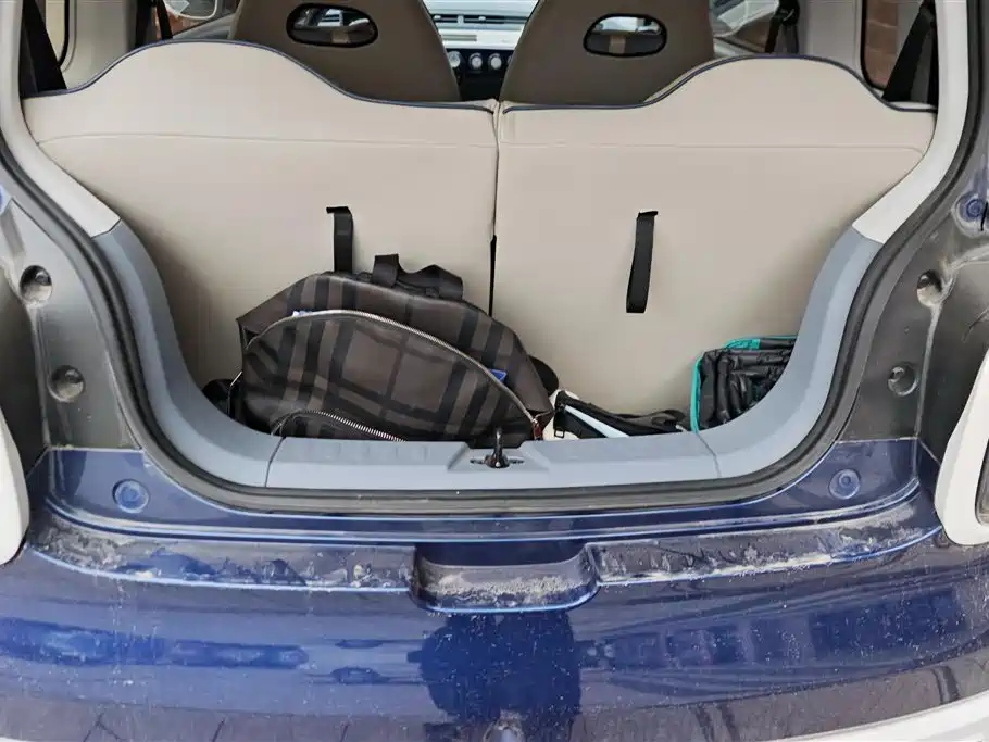 BESTUNE PENTIUM PONY