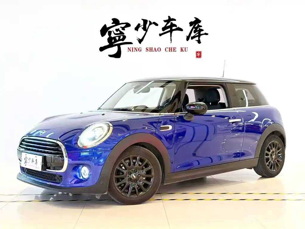 Mini Mini 2020