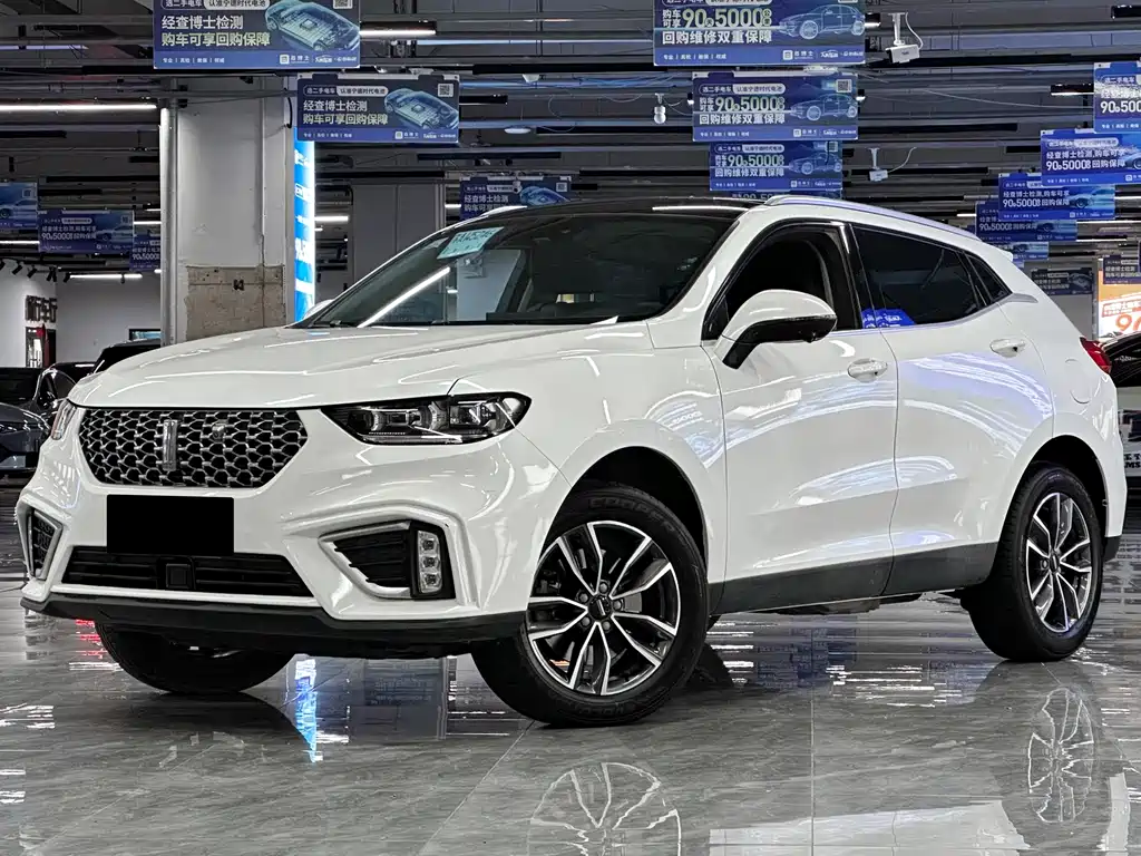 WEI PAI WEI BRAND VV5