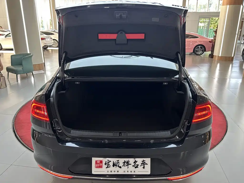 Volkswagen Magotan — миниатюра 10
