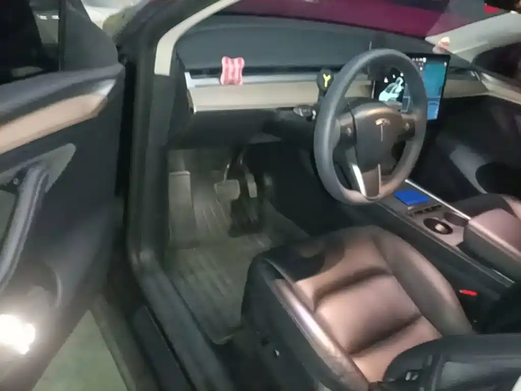 Tesla Model Y — миниатюра 14