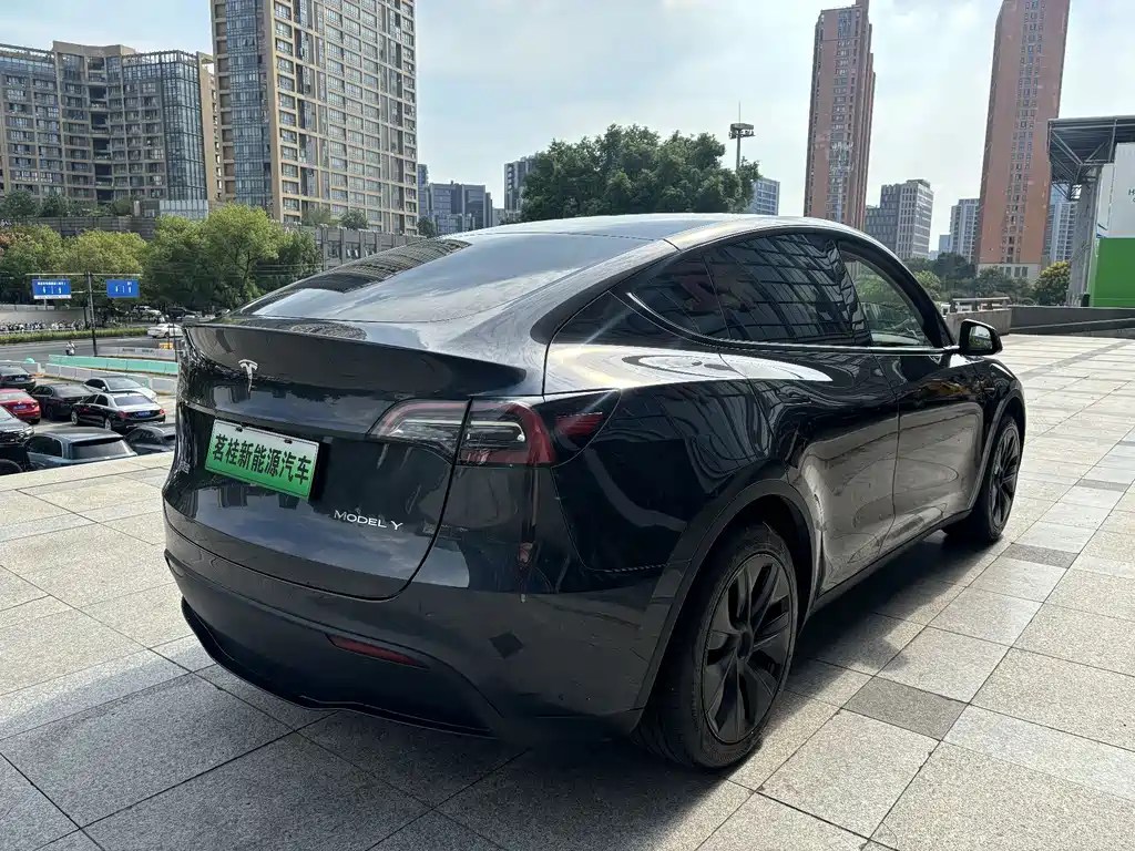 Tesla Model Y — миниатюра 5