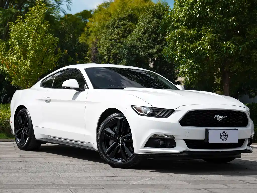 Ford Mustang — миниатюра 3