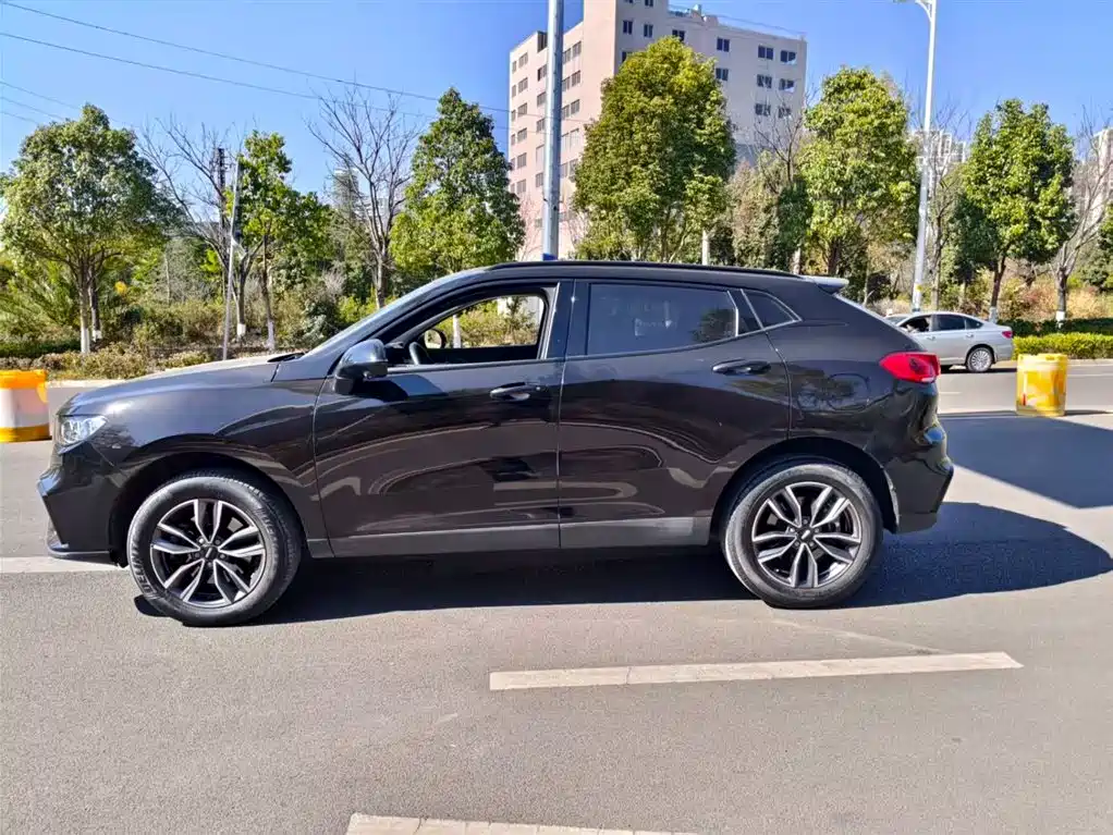 WEI PAI WEI BRAND VV5