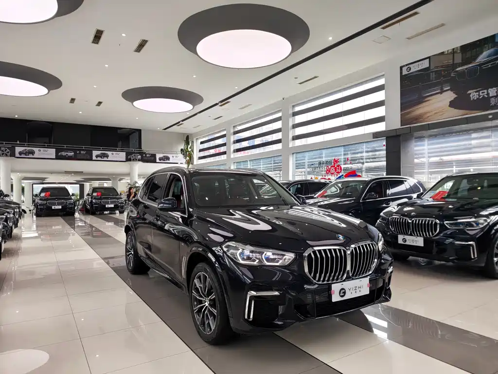 BMW X5 — миниатюра 3