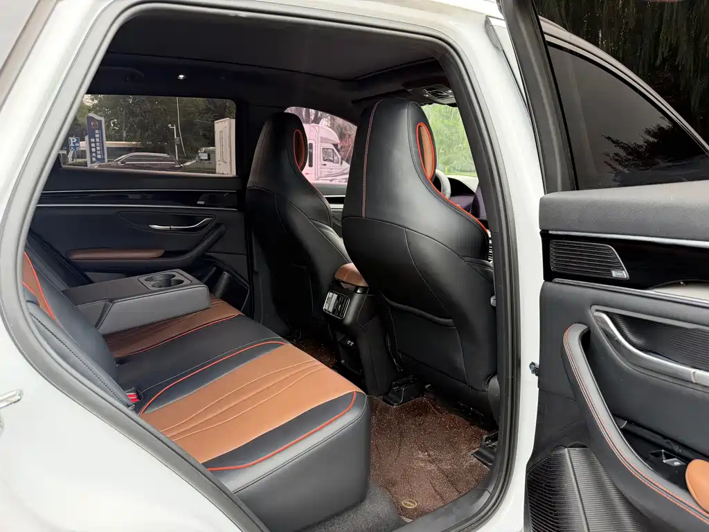 BYD PLUS — миниатюра 9