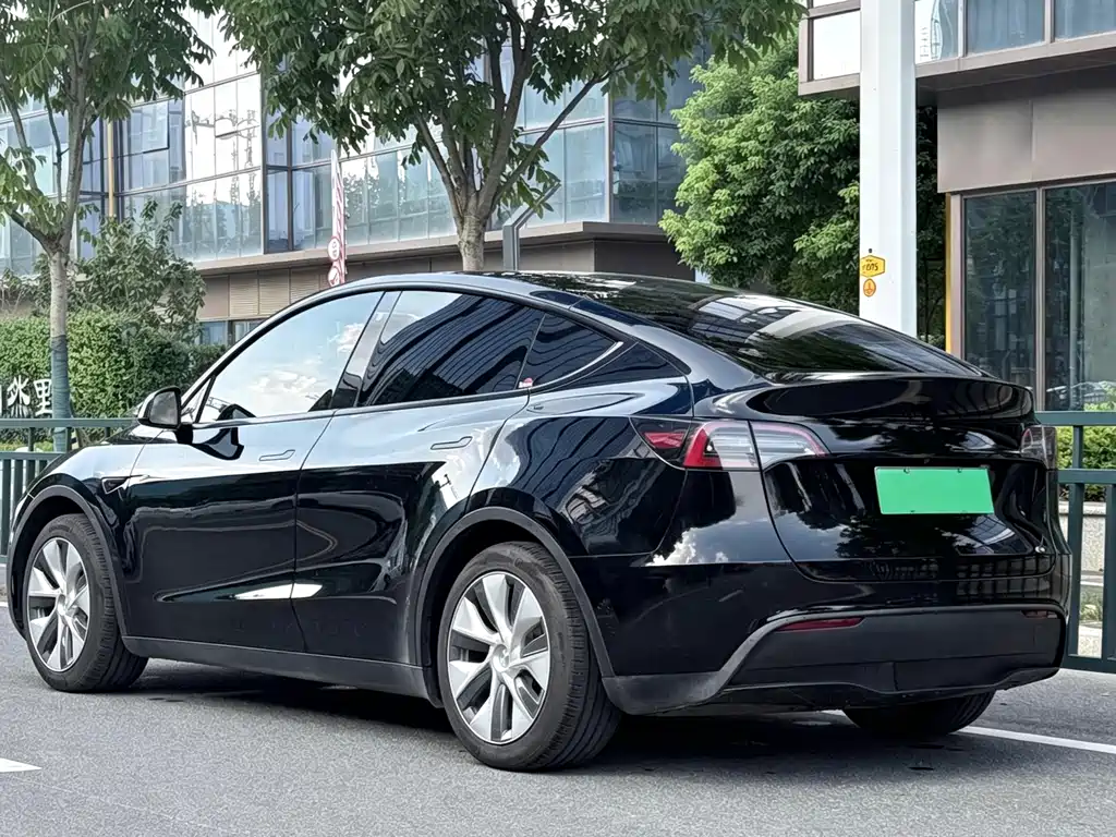 Tesla Model Y — миниатюра 11