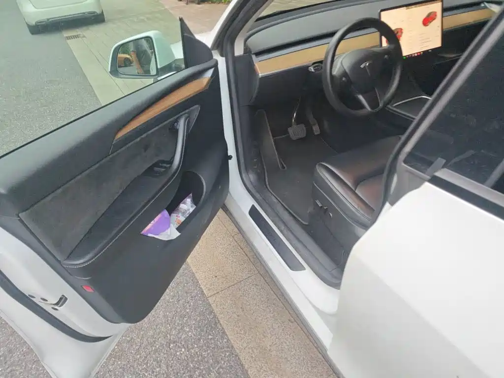 Tesla Model Y — миниатюра 20