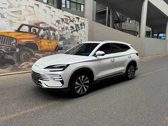 BYD SONGJIANG NEW ENERGY 2024