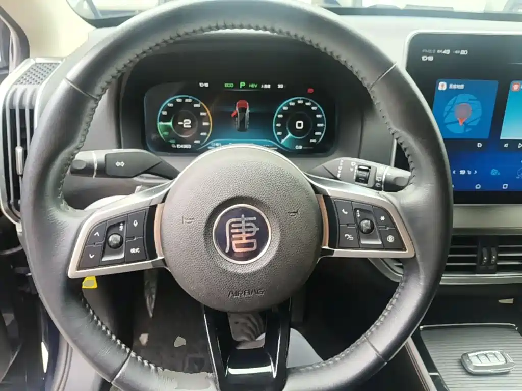BYD Tang New Energy — миниатюра 11
