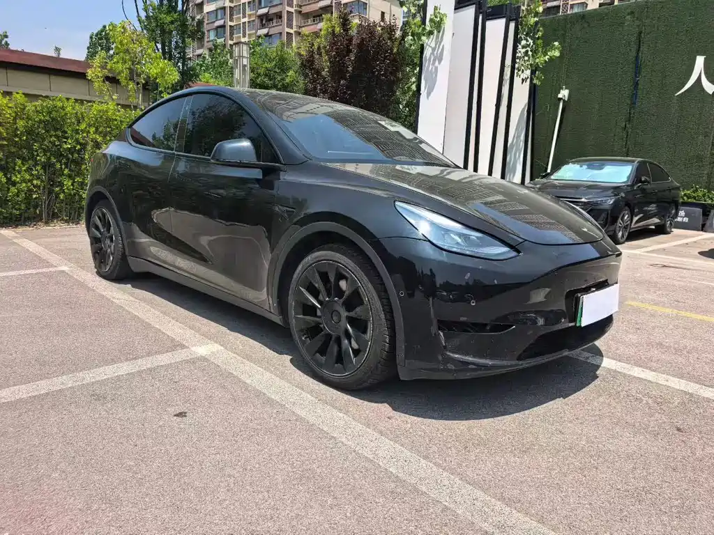 Tesla Model Y — миниатюра 2