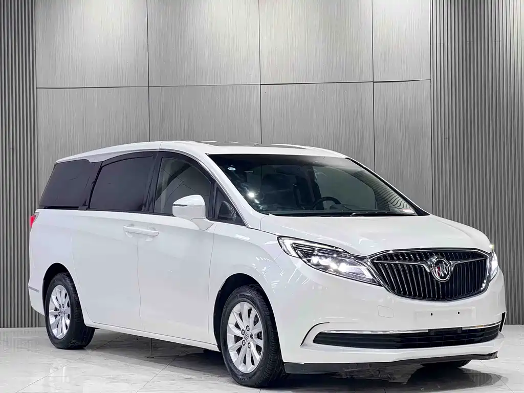 Buick GL8 — миниатюра 3