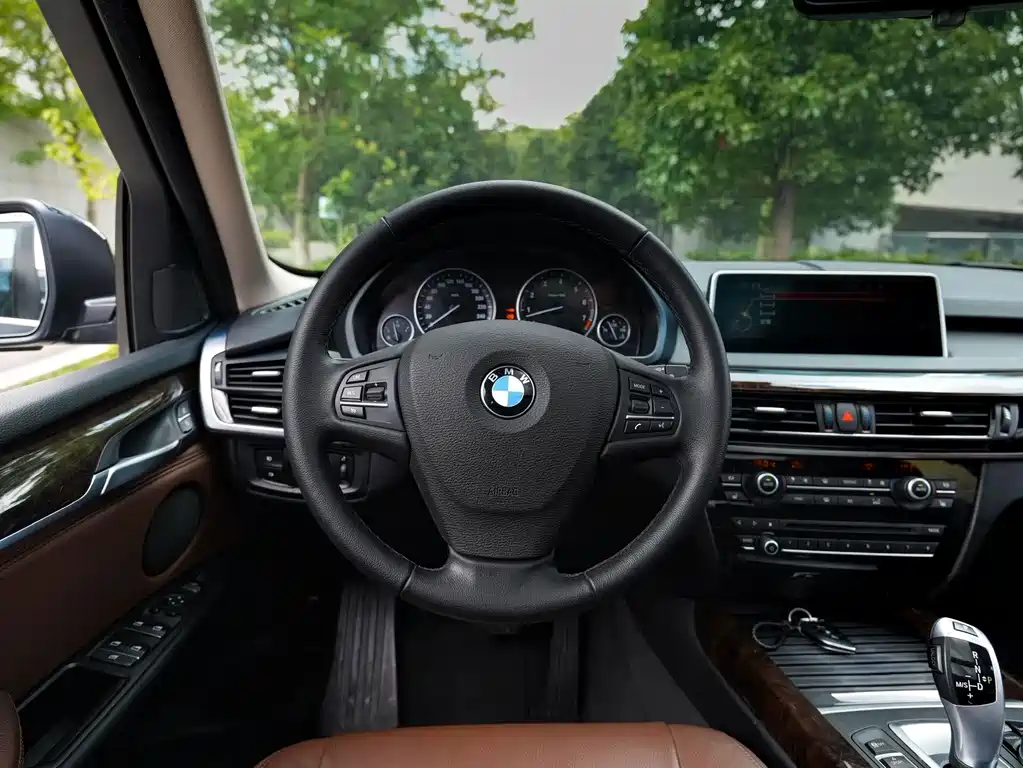 BMW X5 (Import) — миниатюра 13