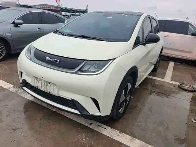 2023 BYD Dolphin