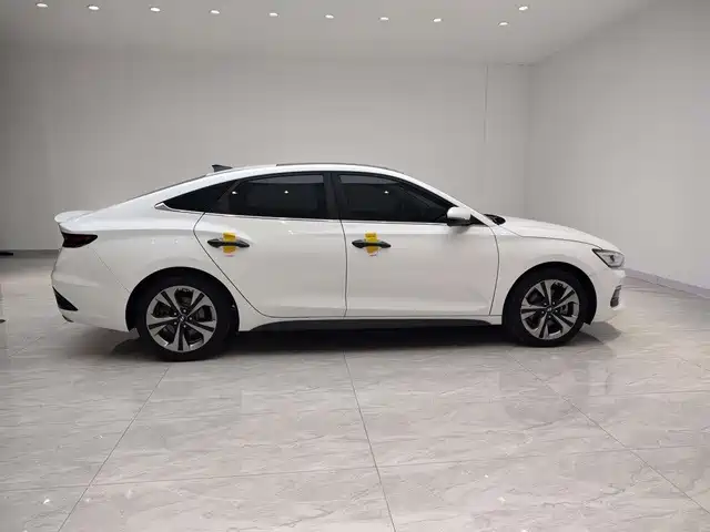 Hyundai Fista — миниатюра 7