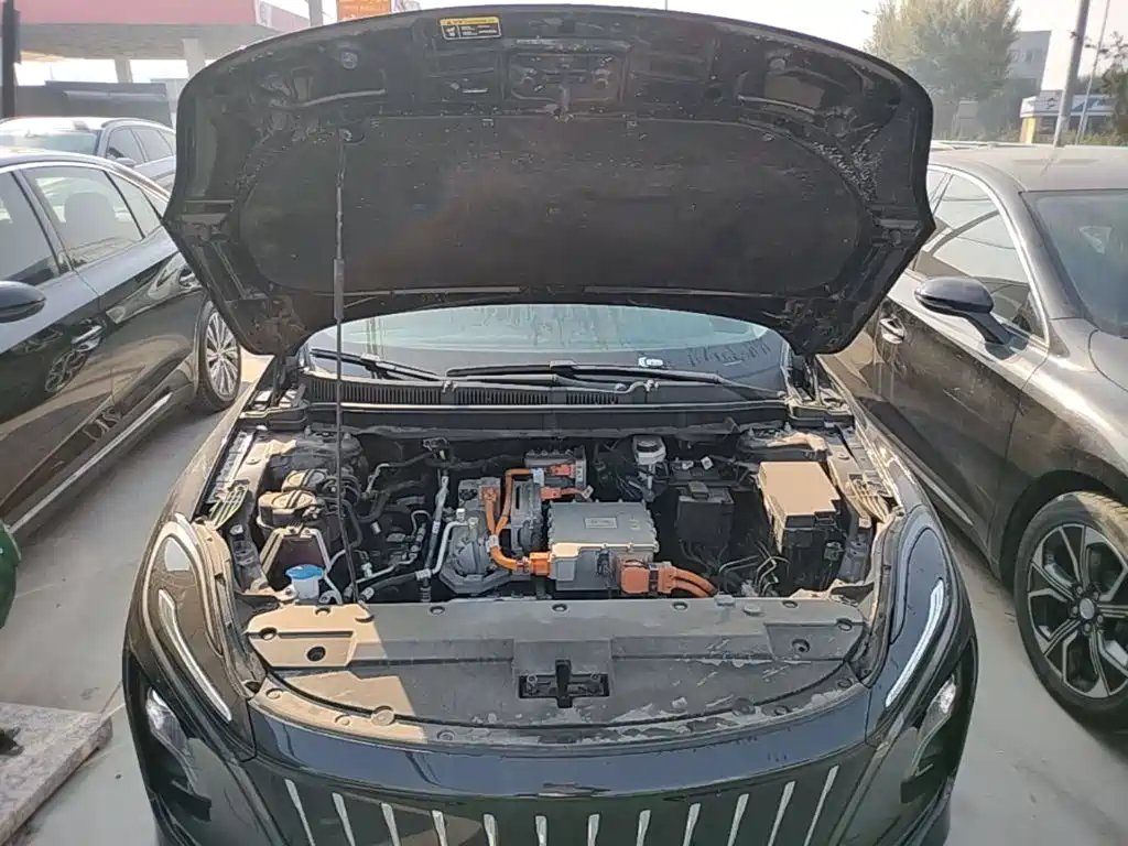 Hongqi Hongqi E-QM5 — миниатюра 20