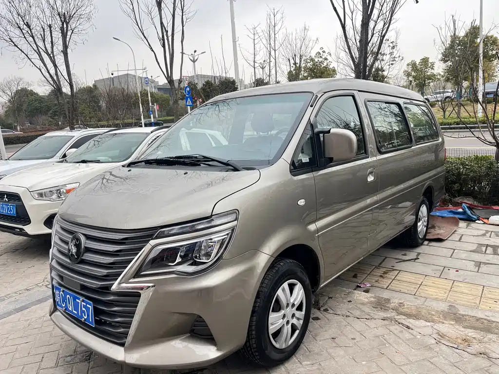 DONGFENG LINGZHI