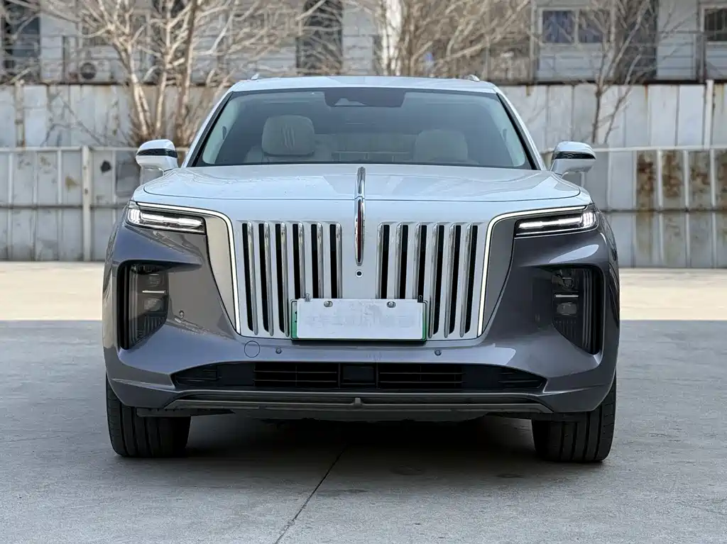 Hongqi HONGQI E HS9