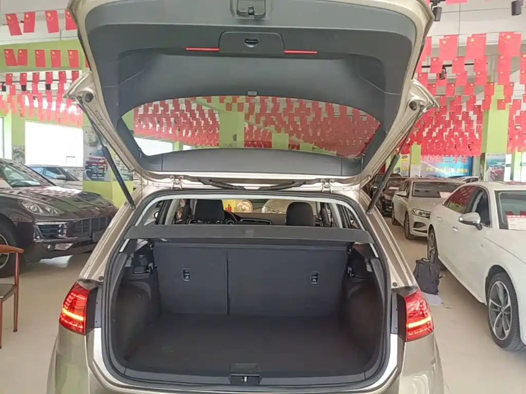 Volkswagen Golf — миниатюра 19