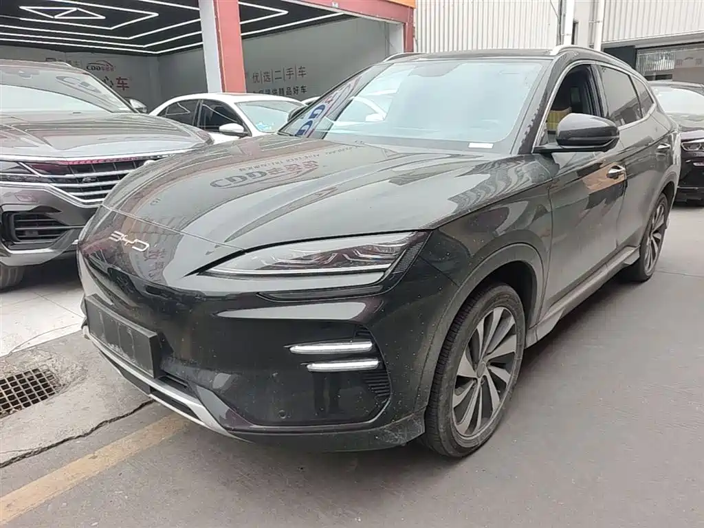 Byd PLUS New Energy 2024