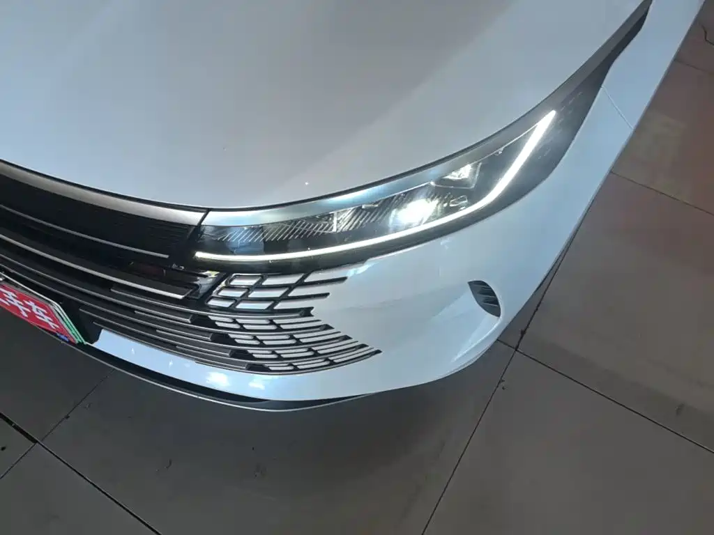 BYD Destroyer 05 — миниатюра 24
