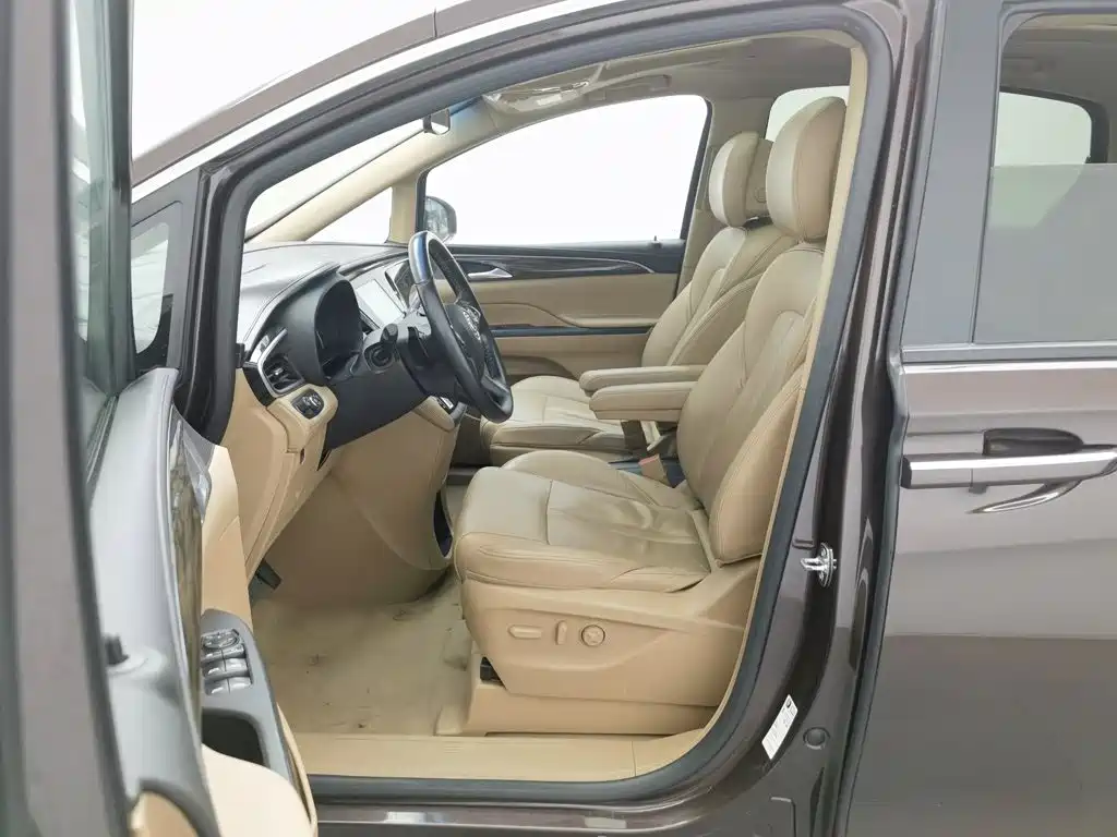 Buick GL8 — миниатюра 10