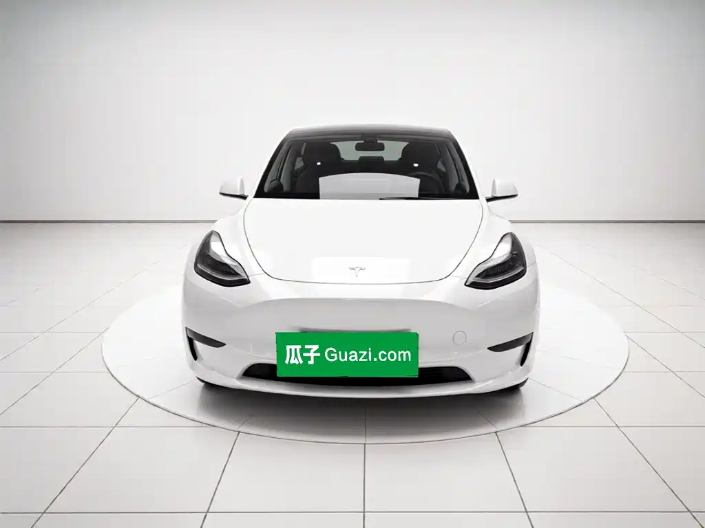 Tesla Model Y — миниатюра 2