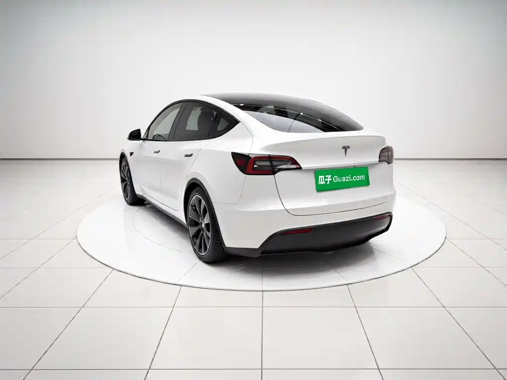 Tesla Model Y — миниатюра 4