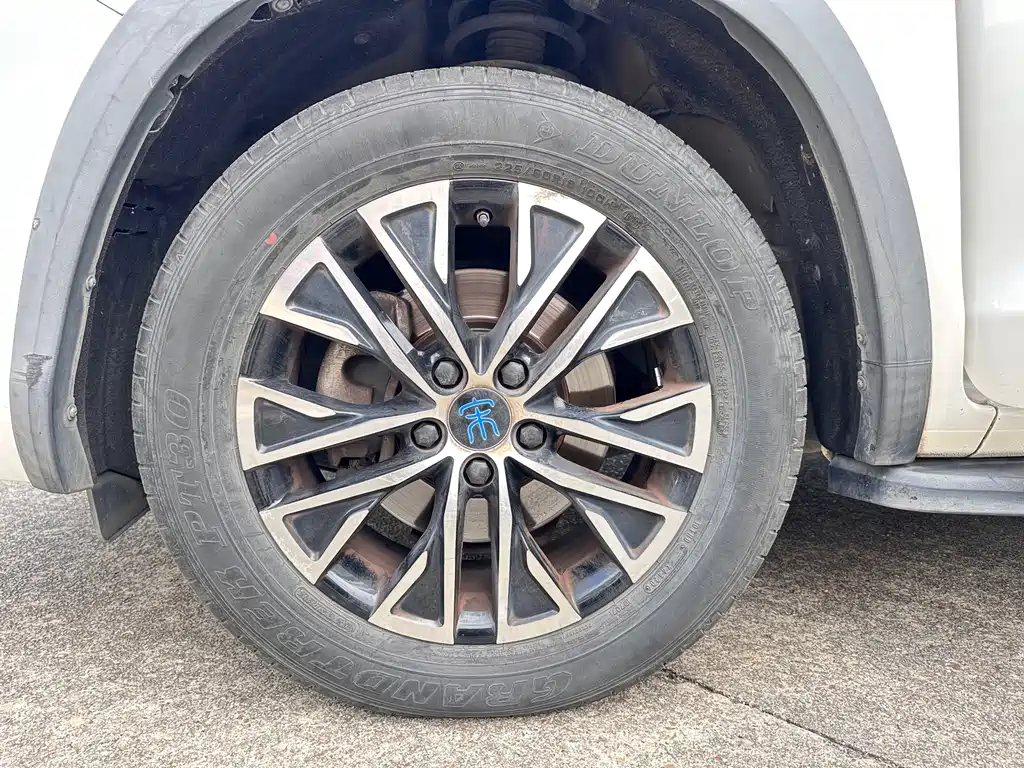 BYD New Energy — миниатюра 12