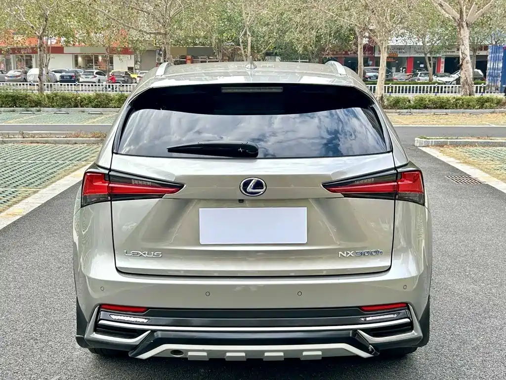 Lexus NX — миниатюра 8