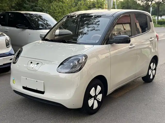 2024 Wuling Motors Hongguang Mini EV