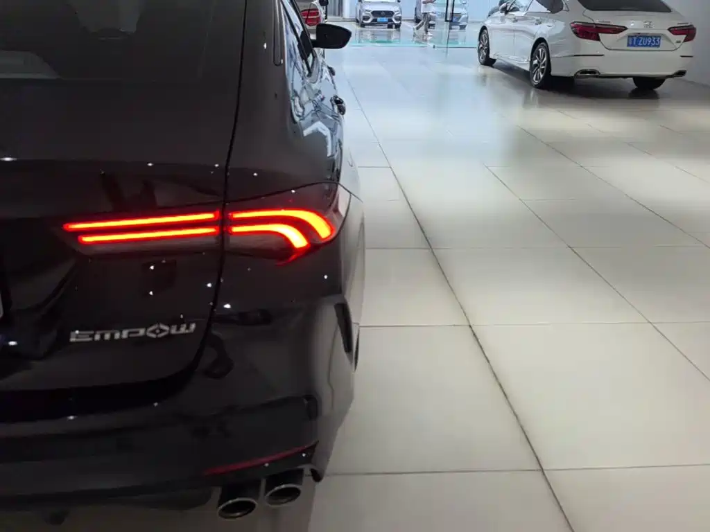 GAC Motor Shadow Leopard — миниатюра 8
