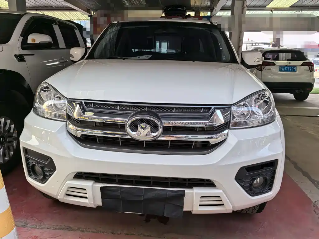 GREAT WALL FENGJUN 5