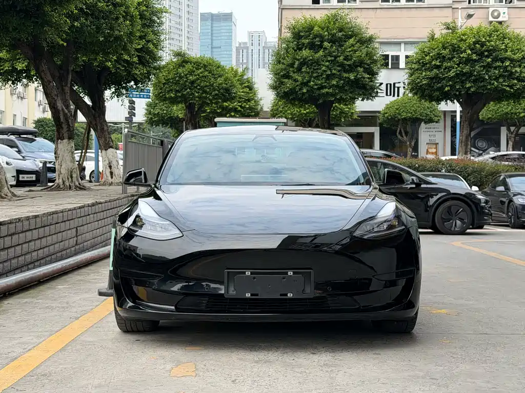 Tesla Model 3 — миниатюра 2